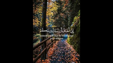 سورة غافر من الآية ٢٦ إلى الآية ٢٧ بصوت القارئ رمضان الطوخي ❀