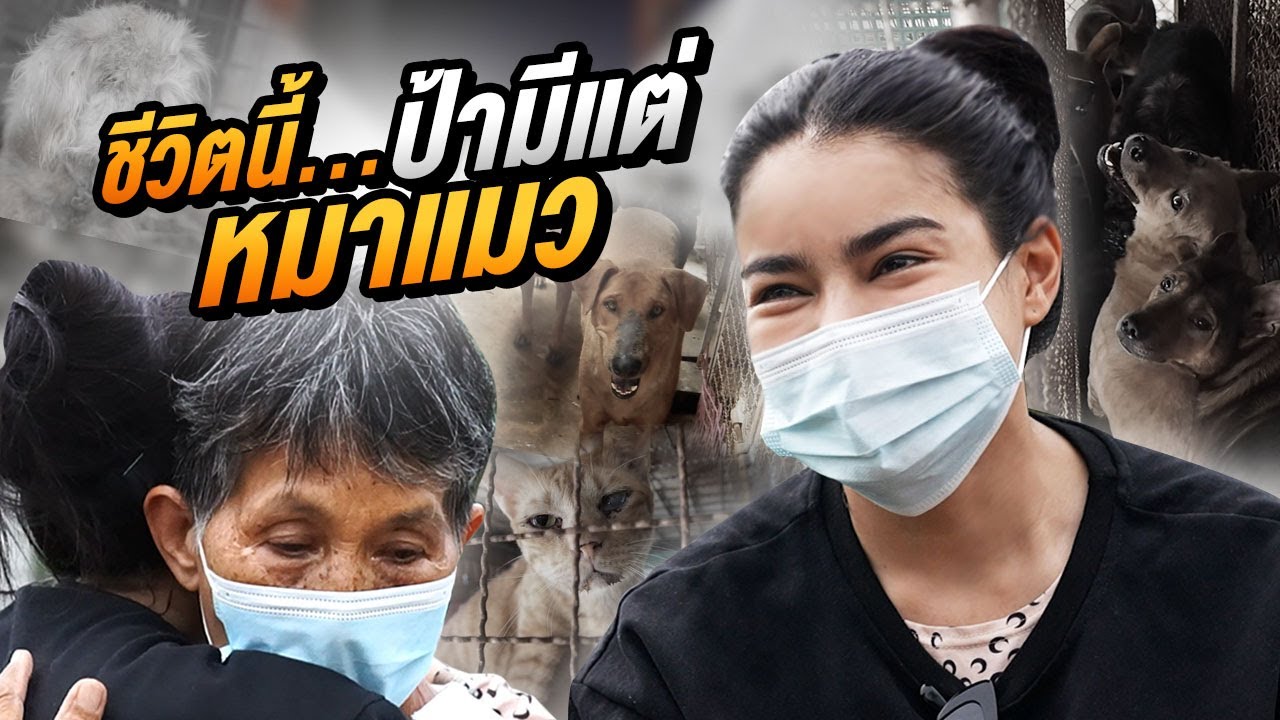 ขอช่วยทุกชีวิต เพราะทุกชีวิตมีค่า | ข้อมูลรายละเอียดมากที่สุดเกี่ยวกับอาหาร สํา ห รับ สุนัข