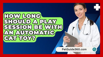 How Long Should A Play Session Be With An Automatic Cat Toy? - PetGuide360.com