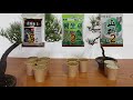 Bonsai soil  盆栽用土の基本