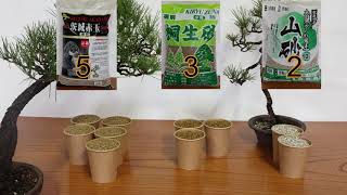 Bonsai soil  盆栽用土の基本