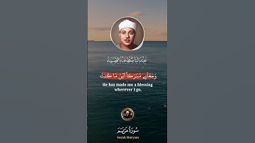 سورة مريم - الآية 30 قَالَ إِنِّي عَبْدُ اللَّهِ #عبدالباسط_عبدالصمد #اكسبلور