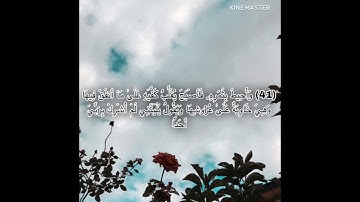 سورة الكهف بصوت ماهر المعيقلي ☺️🤍اية 39