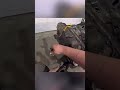 Removing the Exhaust Manifolds on Both 7.3s