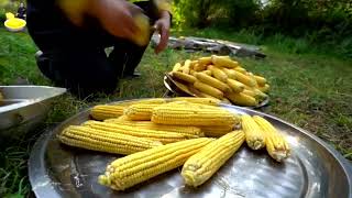 100 Corn BBQ Challenge World s Biggest Corn Roast Roasting 100 Corns Over Fire Village