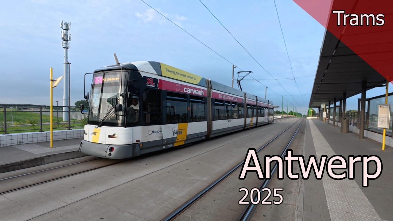 Trams in Antwerp 2025 | Belgium
