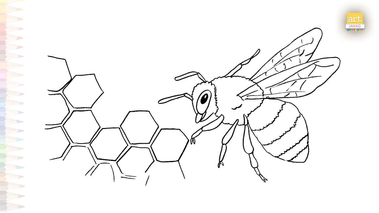 Медоносная пчела: простой рисунок улья | Урок рисования | Как нарисовать медоносную пчелу шаг за ...