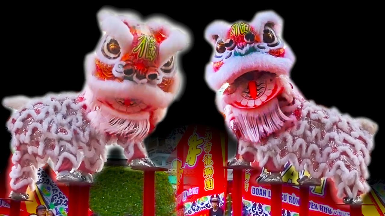 Múa Lân nhảy Mai Hoa Thung 2024 / LSR Hải Nam Lễ hội Nghinh Ông TP. Phan Thiết