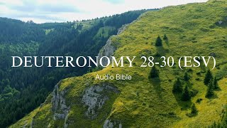 Day 60: Deuteronomy 28-30 (ESV) | Audio Bible with written text | Bible in a Year