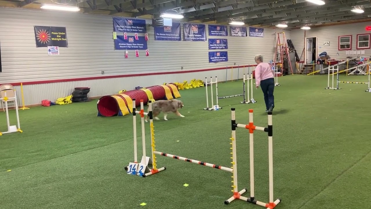 UKI Home Trials 60 40, 5th - 16th February 2026, Speedstakes 2, Tesla 