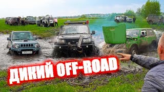 видео: ДИКИЙ OFF-ROAD ГЛАЗА БОЯТСЯ! ОЛЕГ ЕДЕТ! TOYOTA, MITSUBISHI, SUZUKI JIMNY, УАЗ, НИВА картинка: ДИКИЙ OFF-ROAD ГЛАЗА БОЯТСЯ! ОЛЕГ ЕДЕТ! TOYOTA, MITSUBISHI, SUZUKI JIMNY, УАЗ, НИВА