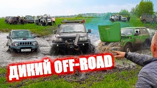 ДИКИЙ OFFROAD ГЛАЗА БОЯТСЯ! ОЛЕГ ЕДЕТ! TOYOTA, MITSUBISHI, SUZUKI JIMNY, УАЗ, НИВА