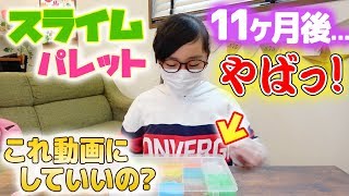 11ヶ月前のスライムパレットを開けてみたら…やばすぎ!腐った〇〇!?さわる勇気ないw