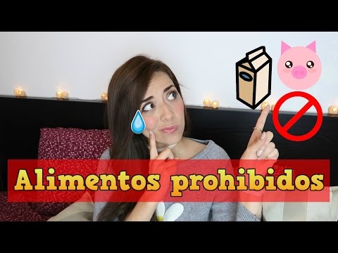 dieta kosher en que consiste