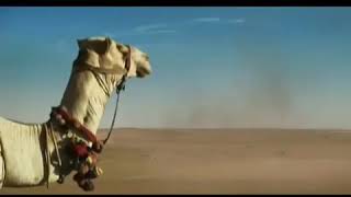 Download lagu Iklan Djarum 76 - Kontes Jin 30s (2012) @ Trans TV, Trans7, SCTV & RCTI