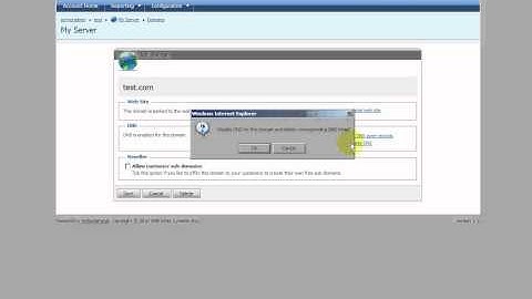 Disable DNS in WebsitePanel