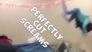 perfectly cut screams v.1 👏new show, never done before 👏