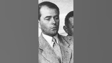 How Himmler came up with the idea of brothels in concentration camps