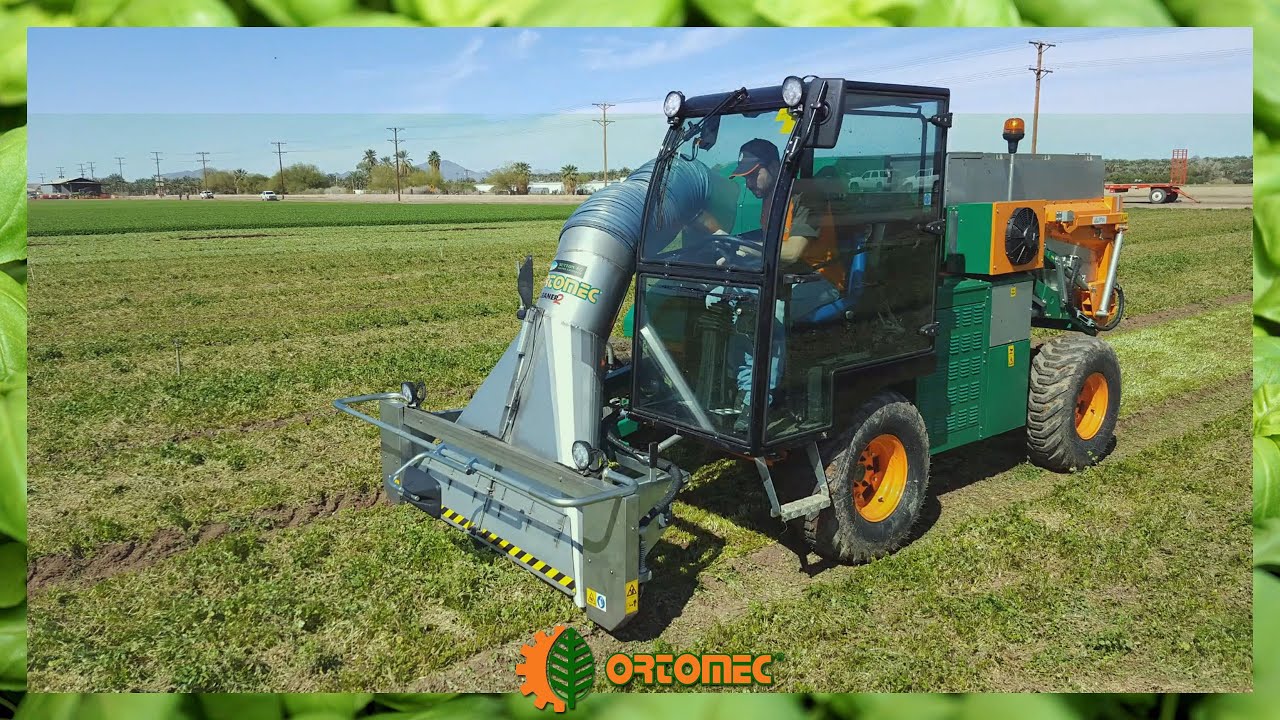 How to cut cilantro? Here is the Cleaner 2 vacuuming machine Ortomec