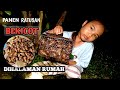 Ratusan bekicot bermunculan di halaman rumah pada malam hari sehabis hujan