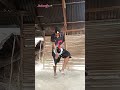 Vibes Mara Dance Profesionaldancer Danceperformance Dance Dancer Vibes Mara Dance Profesionaldancer Danceperformance Dance Dancer