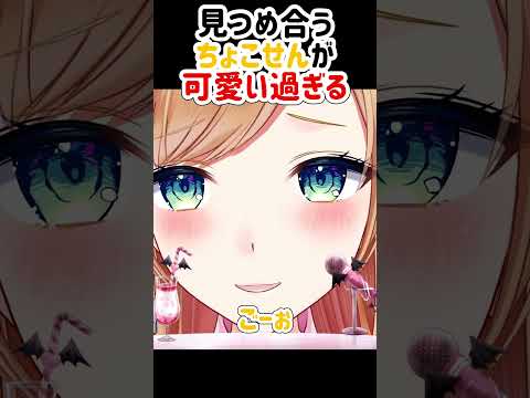 見つめ合うちょこせんが可愛すぎる【癒月ちょこ】#ホロライブ #切り抜き #癒月診療所