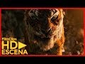 Shere Khan reclama por Mowgli  (Latino) 2018