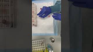 #youtube #chemistry #laboratory #lab #youtubeshorts #shortvideo #shorts #viral #viralvideo #المختبر