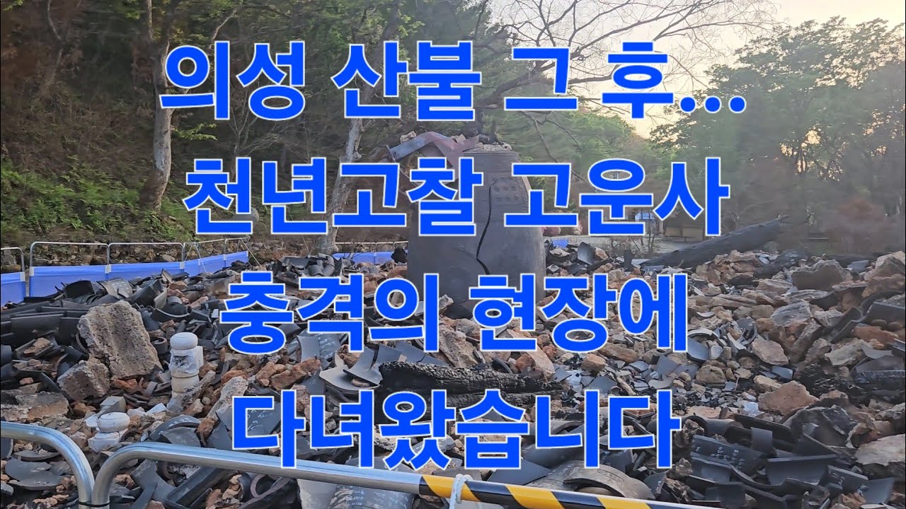 의성 산불 그 후... 천년고찰 고운사 충격의 현장에 다녀왔습니다 😱