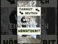 Unsere neue Rubrik: Themen aus der Tierarztpraxis kurz erklärt #goodmorningpets #tiergesundheit