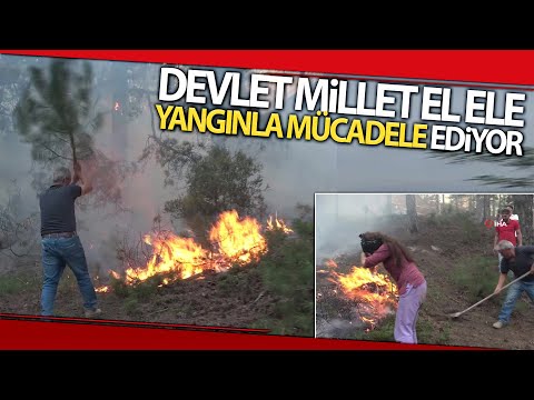 Binlerce Denizlili Yangını Söndürmek ve Orman Kahramanları İçin Seferber Oldu