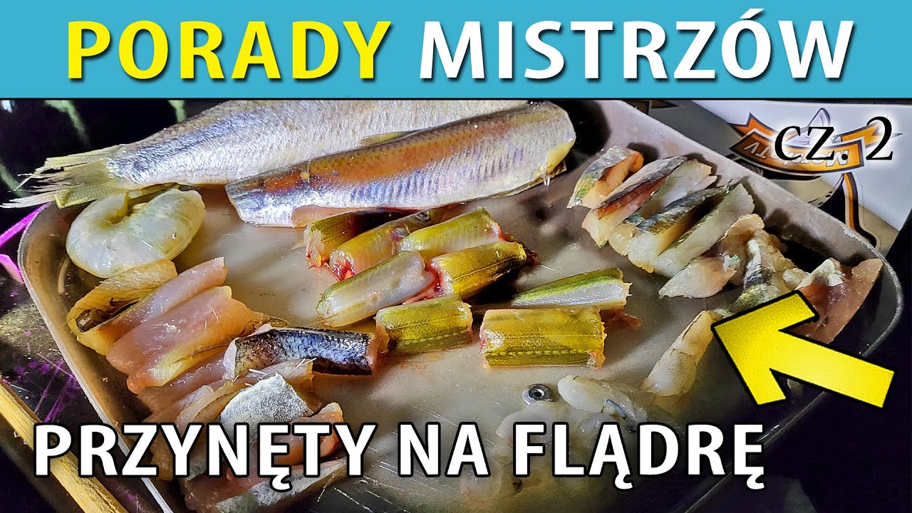 FLĄDRA ➤ przynęty na flądrę - porady MISTRZÓW POLSKI