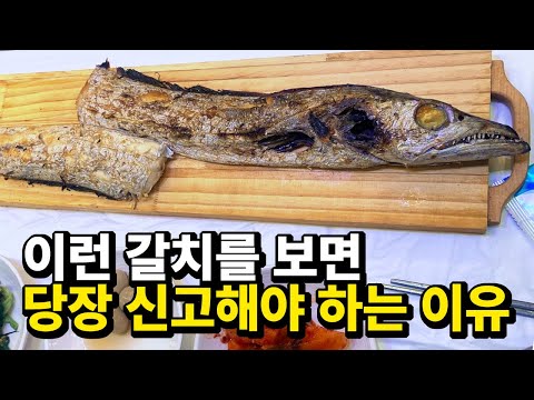 국민생선 &amp;#39;갈치&amp;#39;를 먹기 전에 꼭 알아야 할 사실들(김지민의 자산어보 EP. <strong>009</strong> 갈치편)