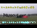 マッスルキャンプinふもとっぱら２０１７