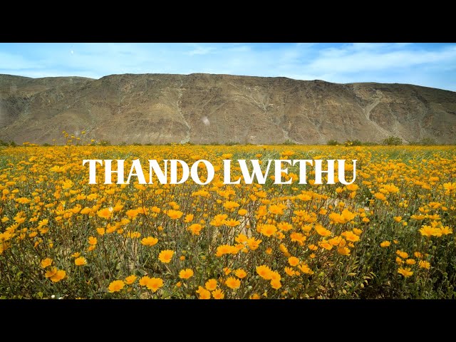 Lowsheen x Master KG - Uthando Lwethu (Feat. Mashudu) [Official] class=