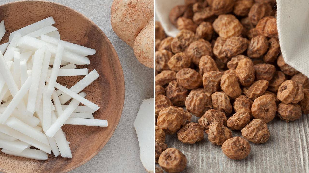 Genius Foods Author Max Lugavere Explains Jicama & Tiger Nuts | Rachael Ray Show