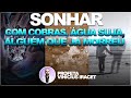 SONHAR COM QUEM JÁ MORREU, COBRAS E ÁGUA SUJA | Profeta Vinicius Iracet