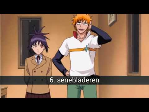 Het beste paar voor Ichigo Kurosaki uit de anime Bleach