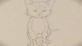 How To Sketch A Kitten