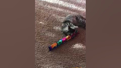 The Original KittyKickStix - 15" Catnip Kicker Toys