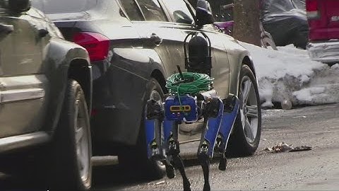 NYPD dumps robot police dog.