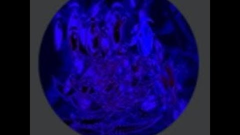 (Roblox) Pm 6:06:06.606 [81-90] [GUIDE ON HOW TO GET "ITS ALL SO CHAOTIC"] [#7]