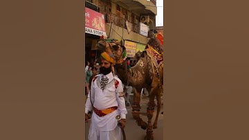 Thumbnail of Folk Artists of Rajasthan | Kalyo kood padyo Rajasthani song #shorts #rajasthanisong #travel