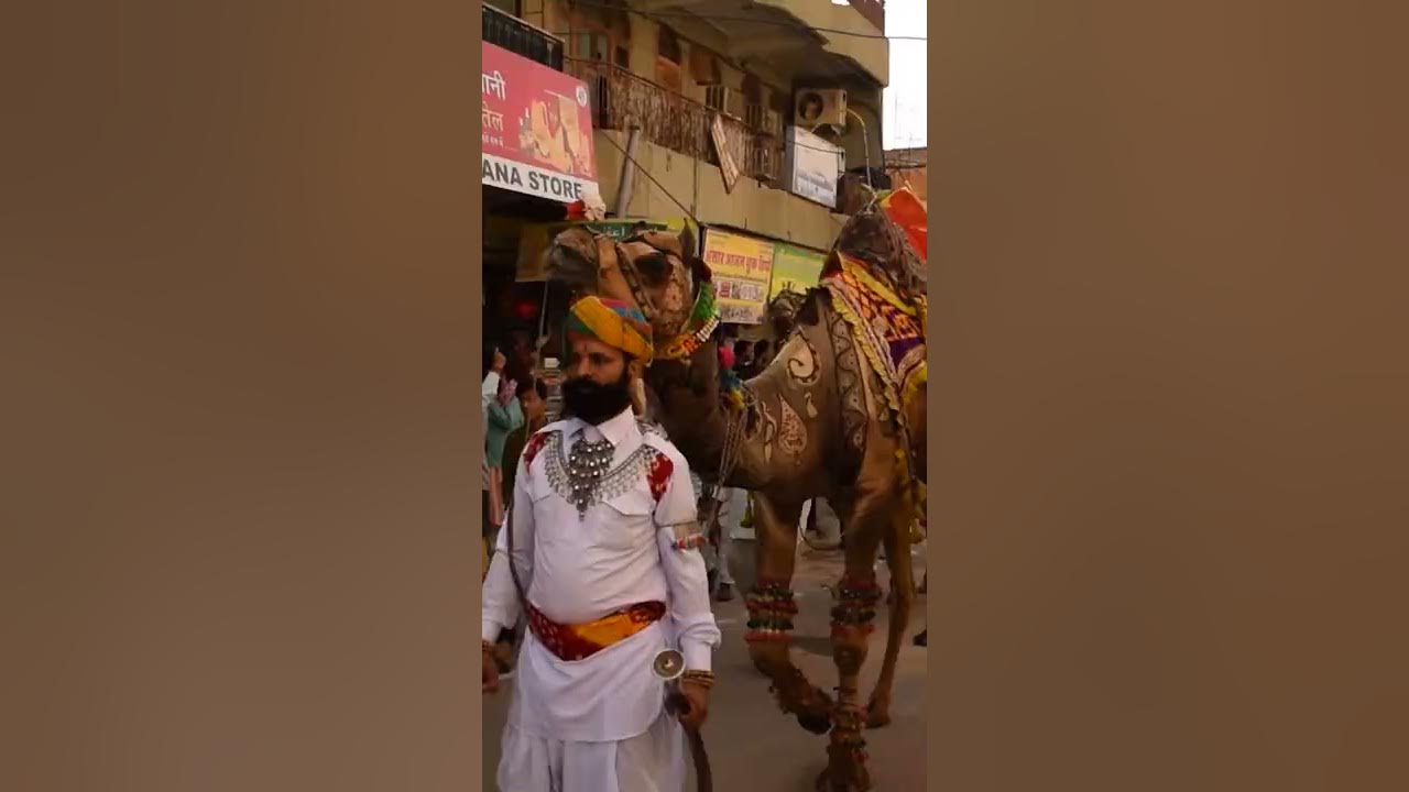 Folk Artists of Rajasthan | Kalyo kood padyo Rajasthani song #shorts #rajasthanisong #travel