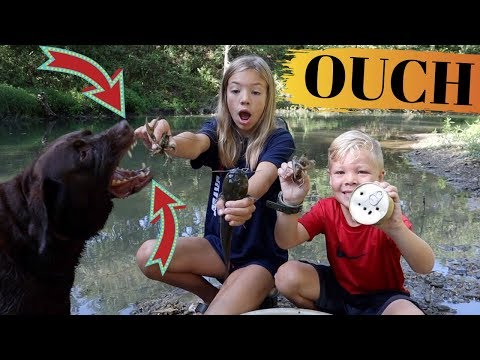 Secret Bait for Catching Huge Creek Monsters!