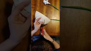 Let's make some Easter Flowers!