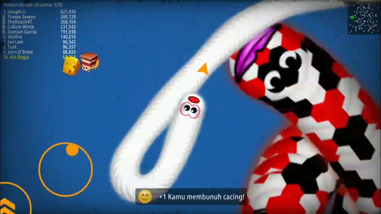 jebak cacing besar alaska, malah terjebak - worms zone 