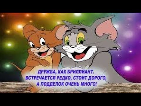 Цитаты про дружбу