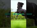 Duck vs Horse ! Master in one field { Life lesson }