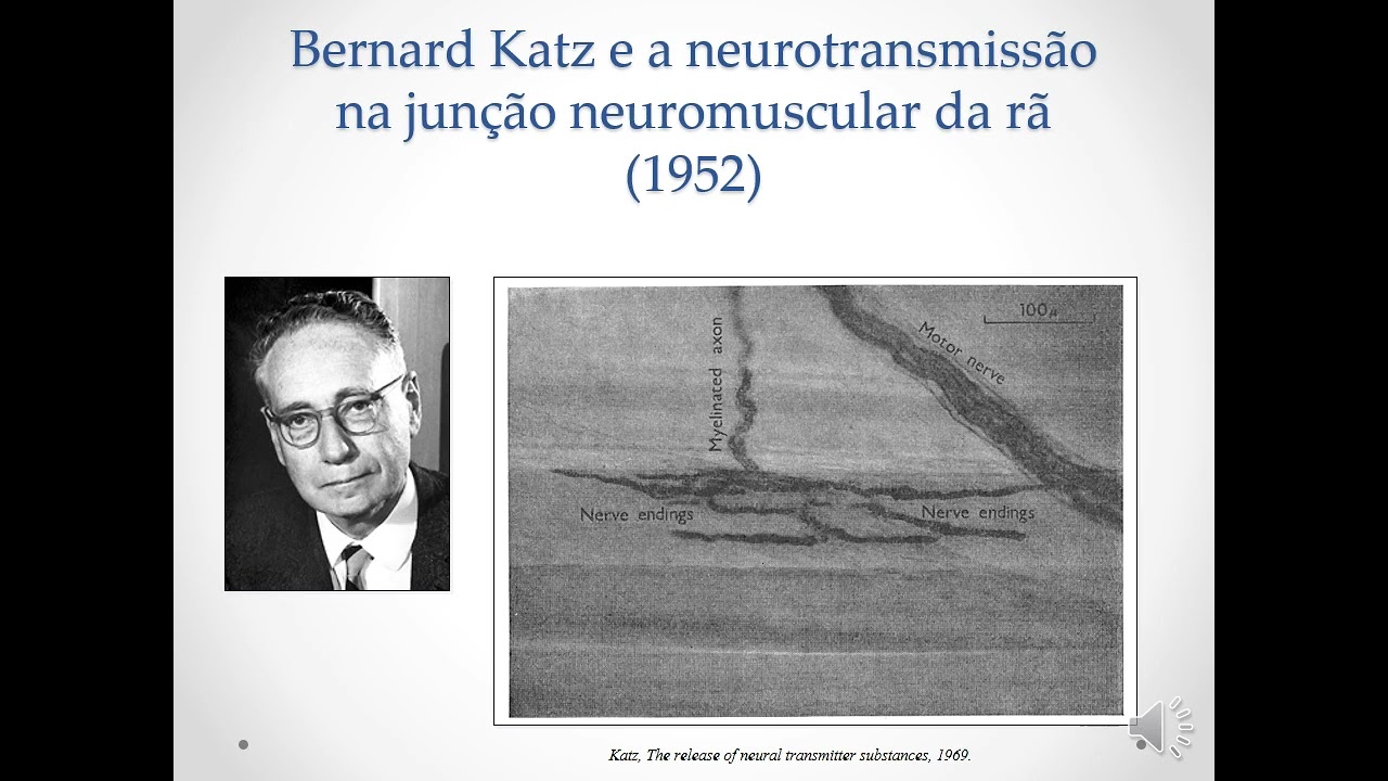 aula neurotrans med 22